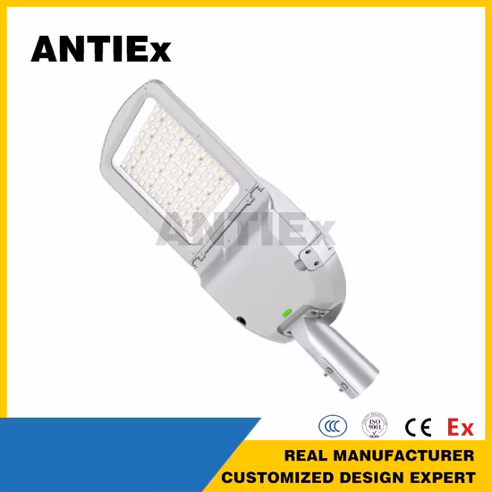 Eco218L 2*2FT Lampada da soffitto a LED IP65 da officina Luce a LED resistente alle intemperie