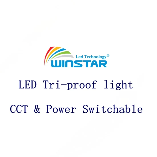 CCT e interruttore di alimentazione LED Tri Proof Light impermeabile dimmerabile con